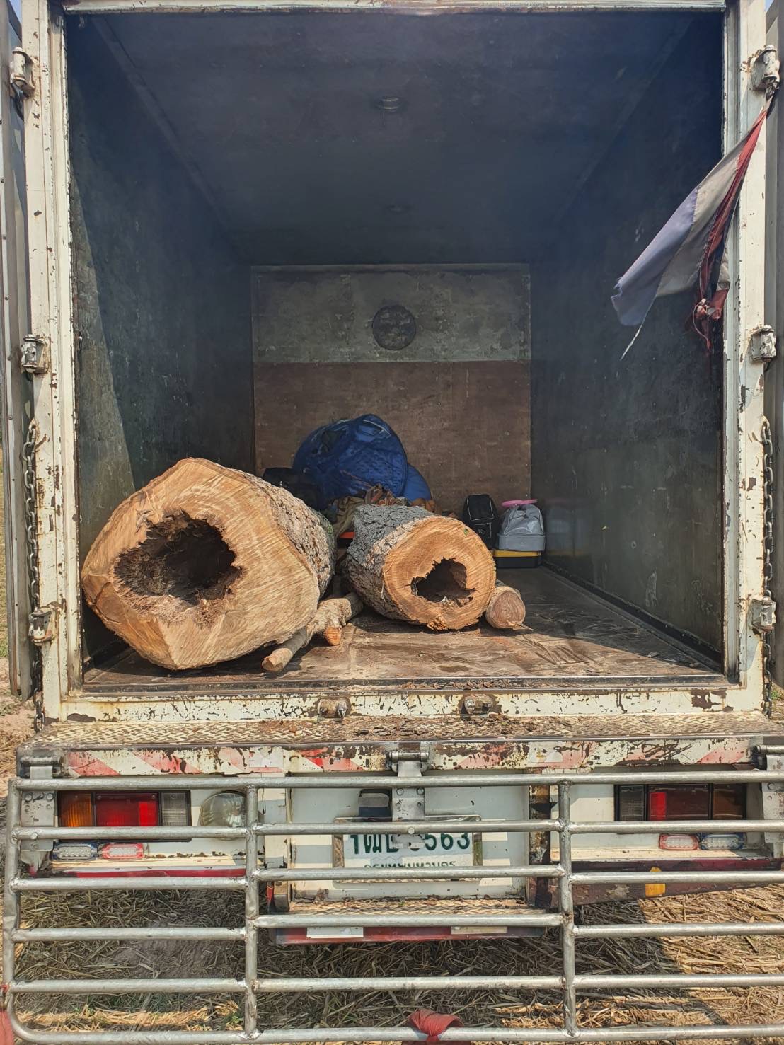 บริการขนส่ง / ท่อนไม้ใหญ่ 